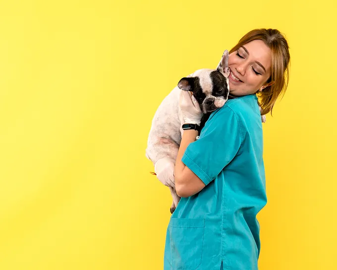 Veterinário